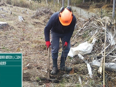 森林再生：再造林（植栽）後の状況