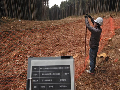 森林再生：再造林（植栽）後の状況